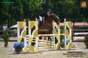 Pony francese del 2016