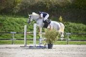 Jument de sport CSO
