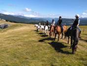 Accompagnateur de Tourisme Equestre