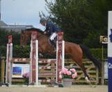 Chevaux 3- 4 ans