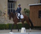 Chevaux 3- 4 ans