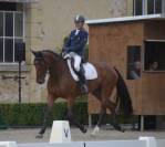 Chevaux 3- 4 ans