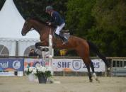 Chevaux 3- 4 ans