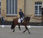 Chevaux 3- 4 ans