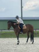 Hongre 7 ans polyvalent 