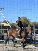 Hongre 7 ans polyvalent 