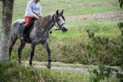 PONETTE CONNEMARA
