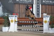 ? Cavalla da Salto “Hannelore C” – 14 anni – Pedigree 