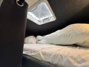 Camion per Cavalli Scania 94XS 2000 Occasione