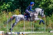 Poni C competición en venta. 