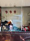 Camion per Cavalli Daf  2003 Occasione