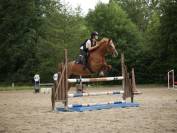 Cavalla PFS Pony Francese da Sella In vendita 2014 Sauro