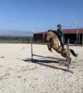 Poney par Rasmus 10 ans