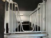 Van per Cavalli Renault Master 2007 Occasione