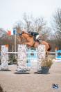 Cheval 8ans Ideal Junior, classé 1m45