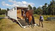 Semirimorchio Cavalli Iveco IVECO 1994 Occasione