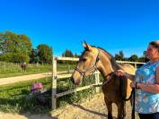 Pouliche Pure Race Espagnole
