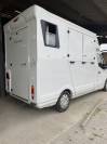 Van per Cavalli Renault Master III 2017 Occasione