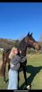 Cheval de 4 ans 