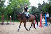 Super Selle français de 8 ans à vendre 