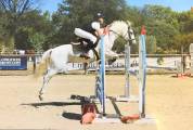 Ponette d’AS 2 