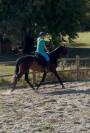 Pouliche 3 ans 