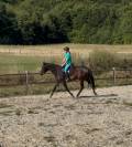 Pouliche 3 ans 