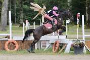 Poney de sport