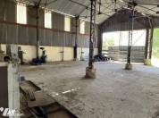 Priorité Equestre pension élevage 