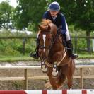 Jolie jument 4 ans