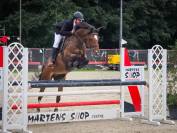 A vendre hongre 10 ans polyvalent