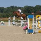 Cheval de 8 ans 