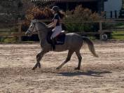 Ponette 5 ans CSO 95 cm 
