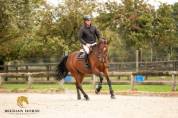 JUMENT  • 6 ans • BWP • Lector vd Bisschop x Calvaro