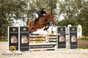 Jument  • 4 ans  • BWP  • Nono vd Withoeve x Jericho DH