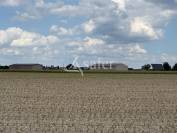 Dairy farm  Indre-et-Loire