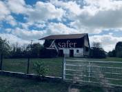 Sheep farm  Nièvre