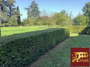 Propriété de 270 m2 avec étang à Cognac sur 3ha