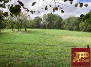 Propriété de 270 m2 avec étang à Cognac sur 3ha
