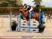 Poney de sport 