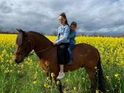 Poney de sport 