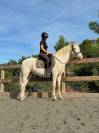 2 hongres espagnol cso/dress