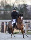 DP Poney D