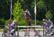 Recherche apprenti CS Groom/CS jeune chevaux