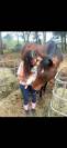 Demi pension Caillotin psa 10ans 1m70