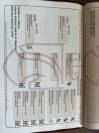 Poulain Pure Race Espagnole  PP Robe alezane 17 mois