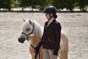 Hongre shetland PP grande taille