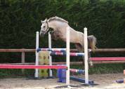 ponette 4 ans 