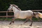 ponette 4 ans 