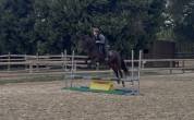 PONETTE 5 ANS